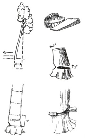 Tricks_Illustrations.jpg thumbnail