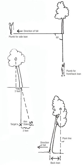 tricksAUT08.jpg thumbnail
