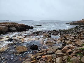 water-carbon-sea.jpg thumbnail