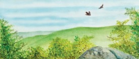 Mike Perusse thumbnail