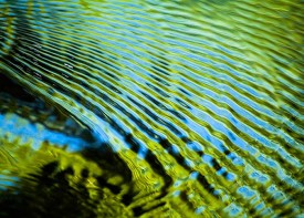 wild_water_Header.jpg thumbnail