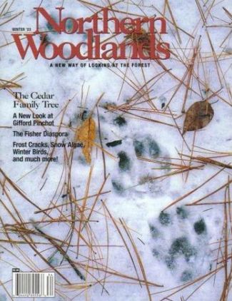 Photo by A. Blake Gardner Win03w.jpg cover 