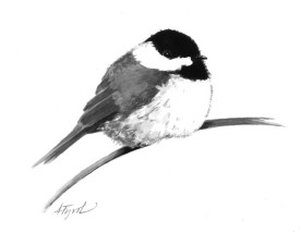 winter_chickadee.jpg thumbnail