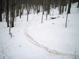 WITWIT-4-13-18.jpg thumbnail