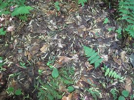 WITWIT-aug3.jpg thumbnail