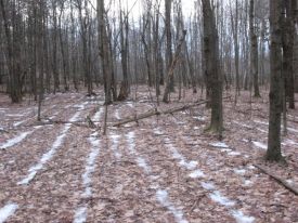 WITWITdec12_web.JPG thumbnail