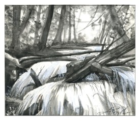 wood in streams thumbnail