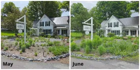Pollinator garden thumbnail