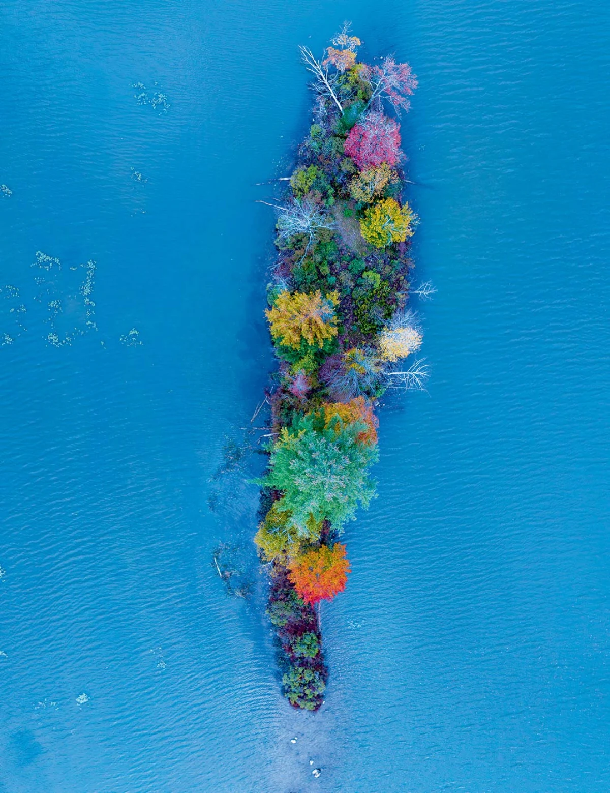 Colorful island