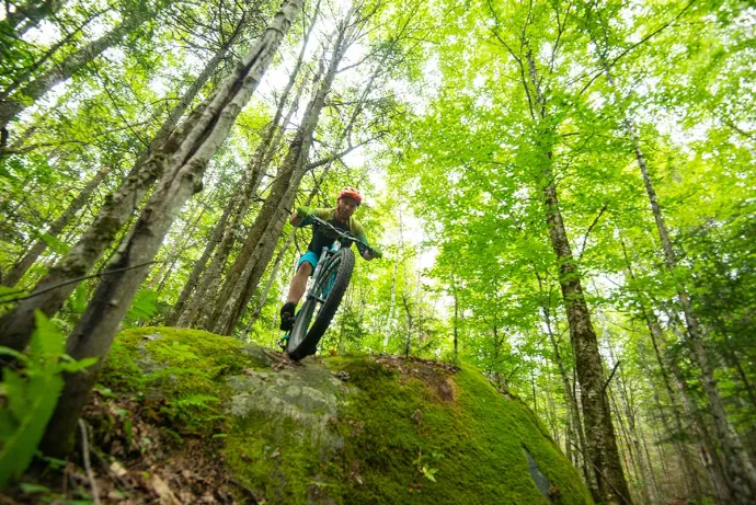 3_biking_harkless-rock_web.jpg