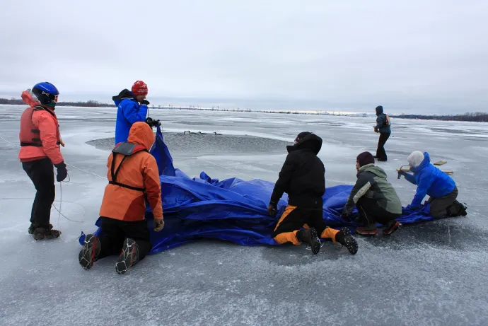 Loon rescue