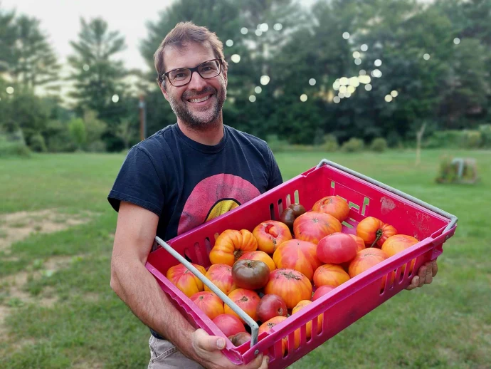 Tomatoes