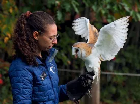 Anna Morris with owl thumbnail
