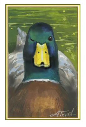 Duck sleep thumbnail