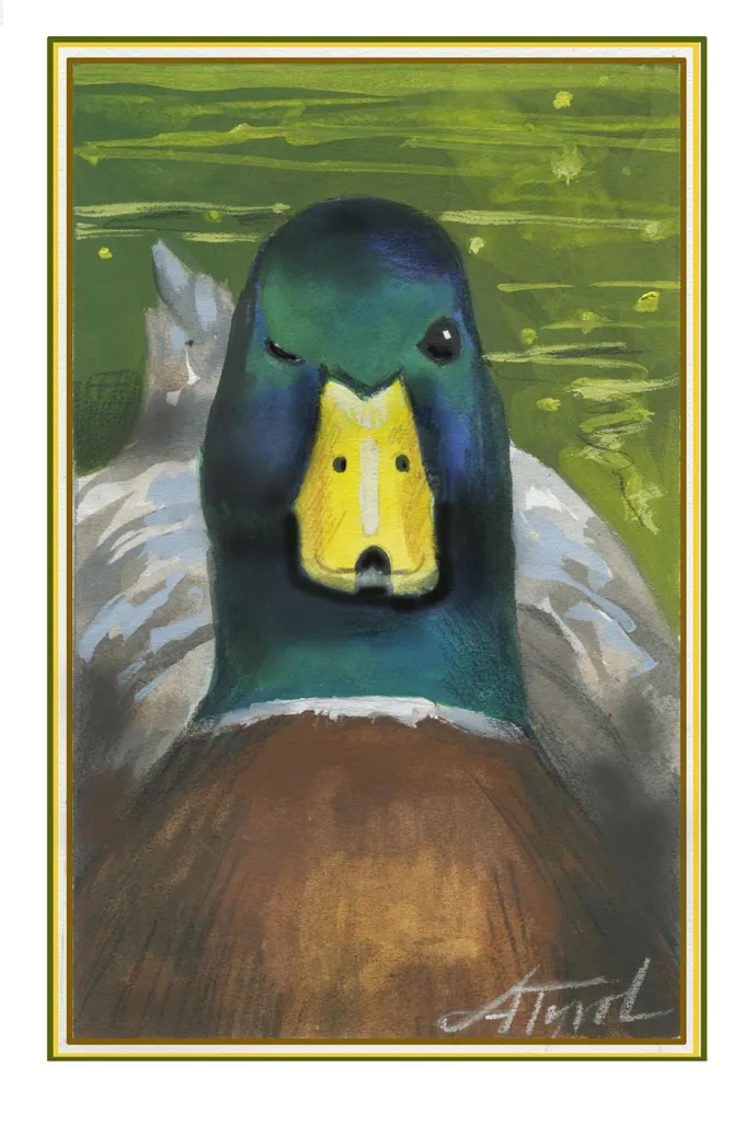Duck sleep