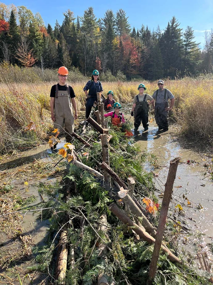 Beaver dam workers