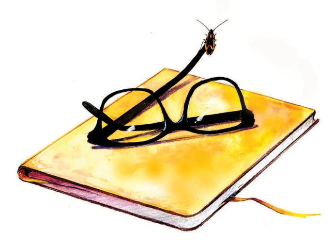 Bug on book