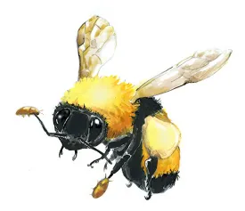 Bumblebee thumbnail