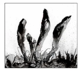 Caterpillar club fungi thumbnail