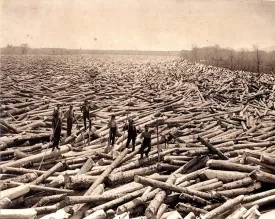 Log drives thumbnail