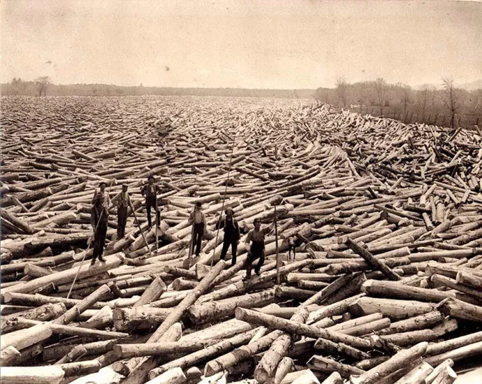 Log drives