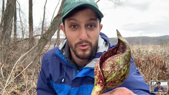 conrad_baker_skunkcabbage_web.jpg