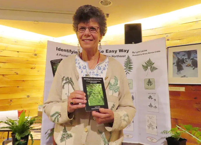 Ferns book