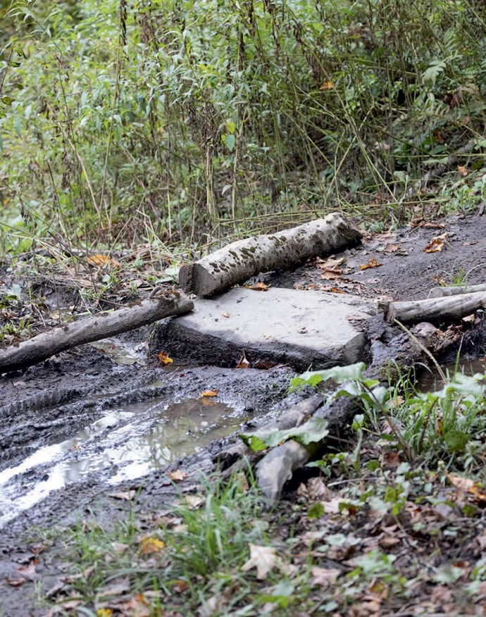 Damaged stream