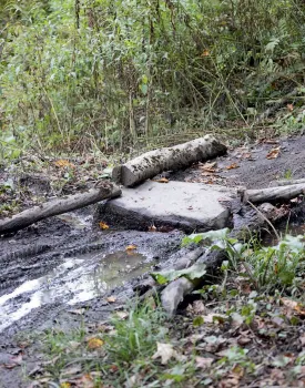 Damaged stream thumbnail