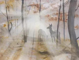 Deer drag thumbnail