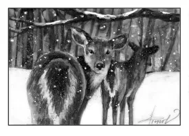 Deer spread invasives thumbnail