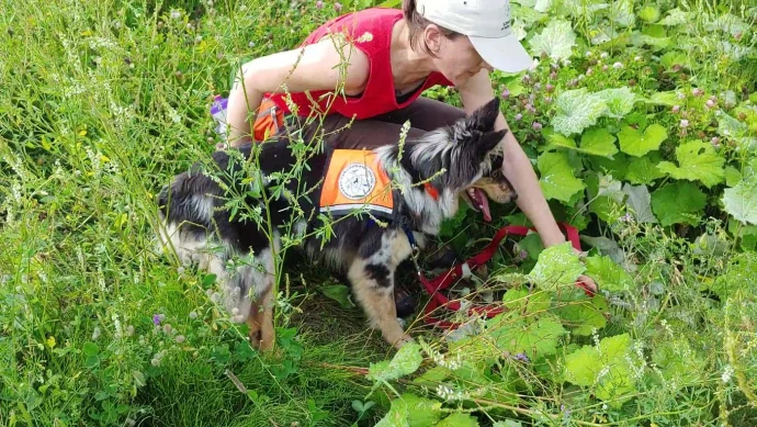Conservation dogs
