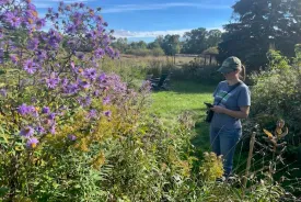 Nature observations thumbnail