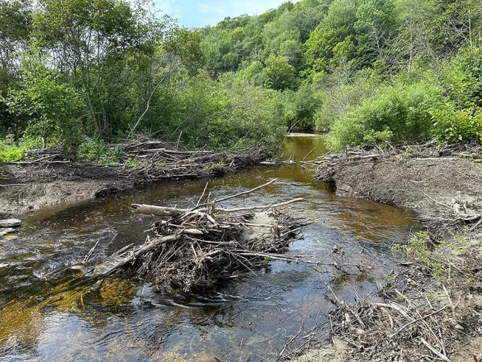 Failed beaver dam