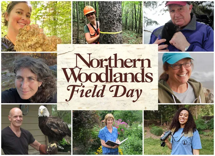 field_day_banner_homepage_web.jpg