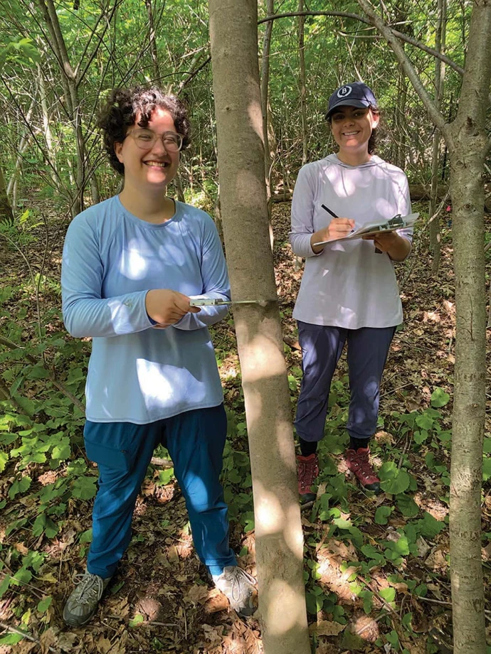 Forestry fieldwork