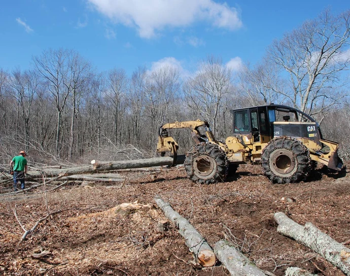 Grapple skidder