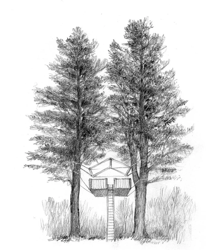 Treehouse