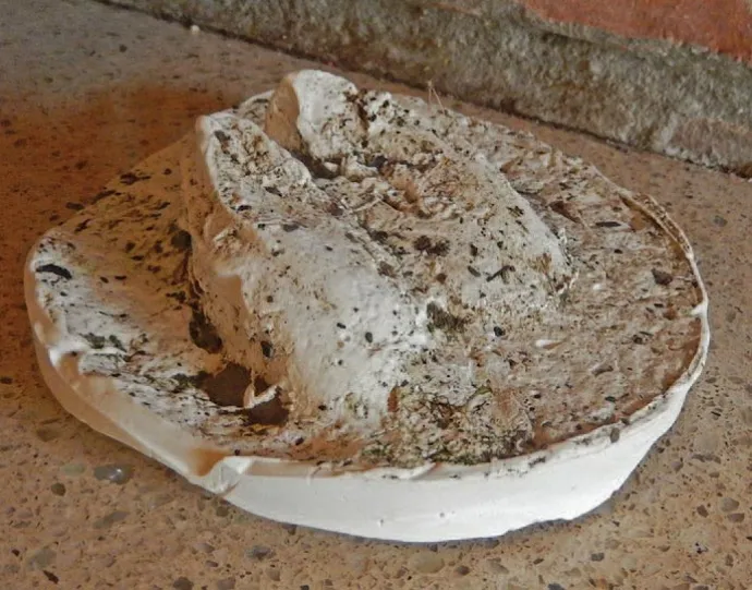 Hoof mold cast