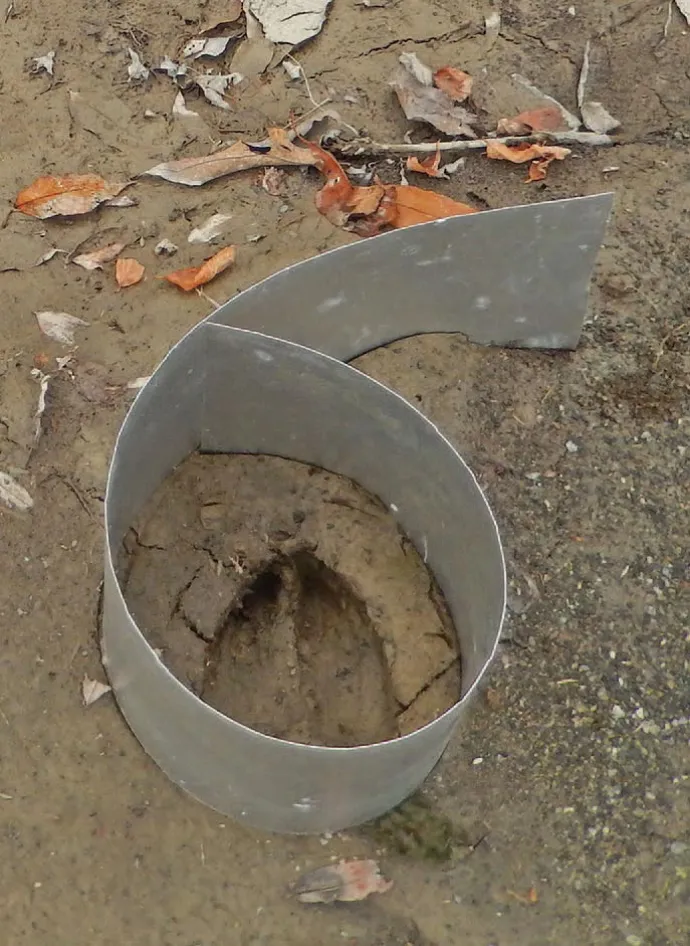 Hoof mold