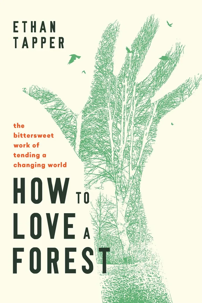 How to love a forest