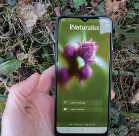 Inaturalists thumbnail