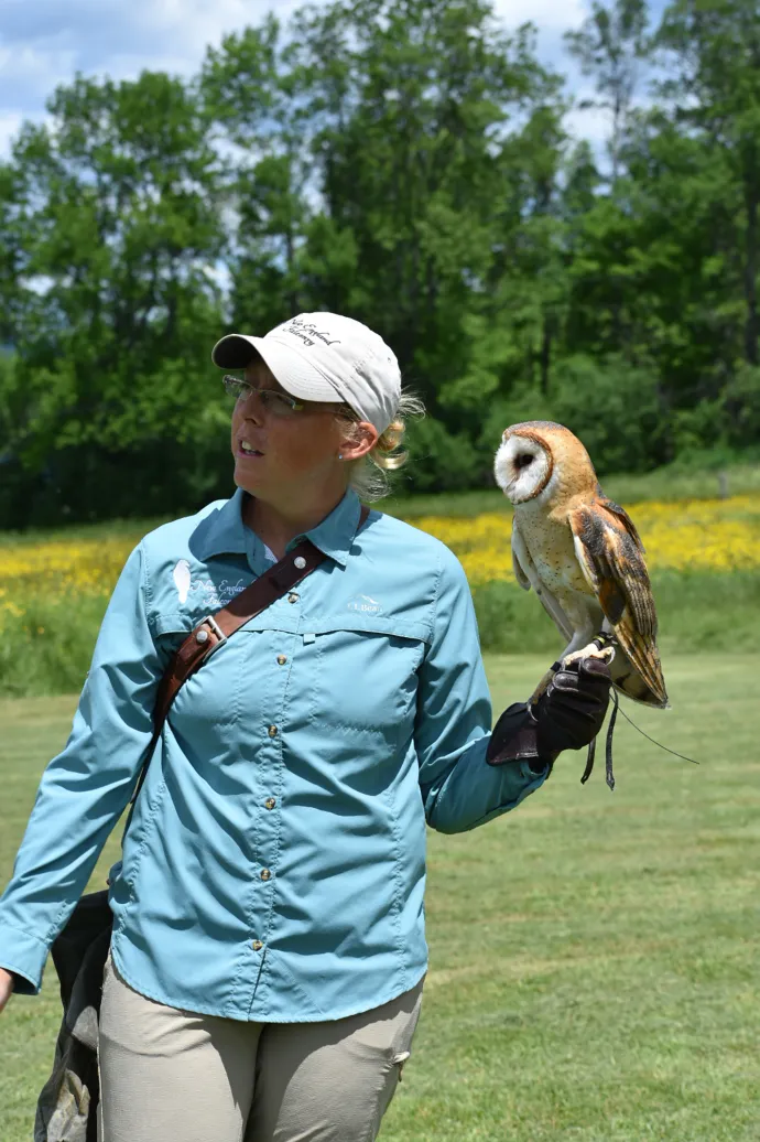 Owl