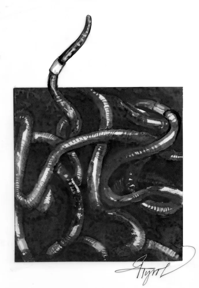 Jumping worms
