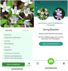 Plant identification apps thumbnail