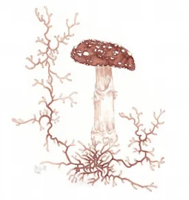 Lichen ink thumbnail