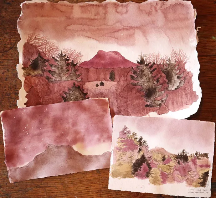 Lichen ink paintings