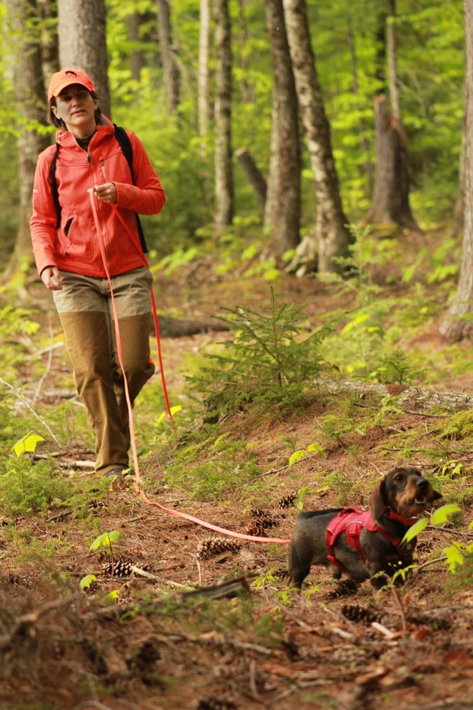 Aldo hike