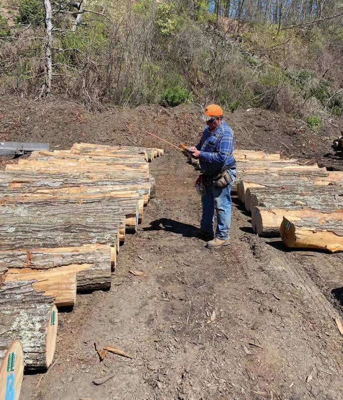 Log scaler