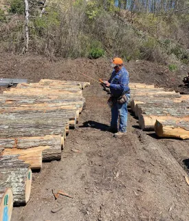 Log scaler thumbnail